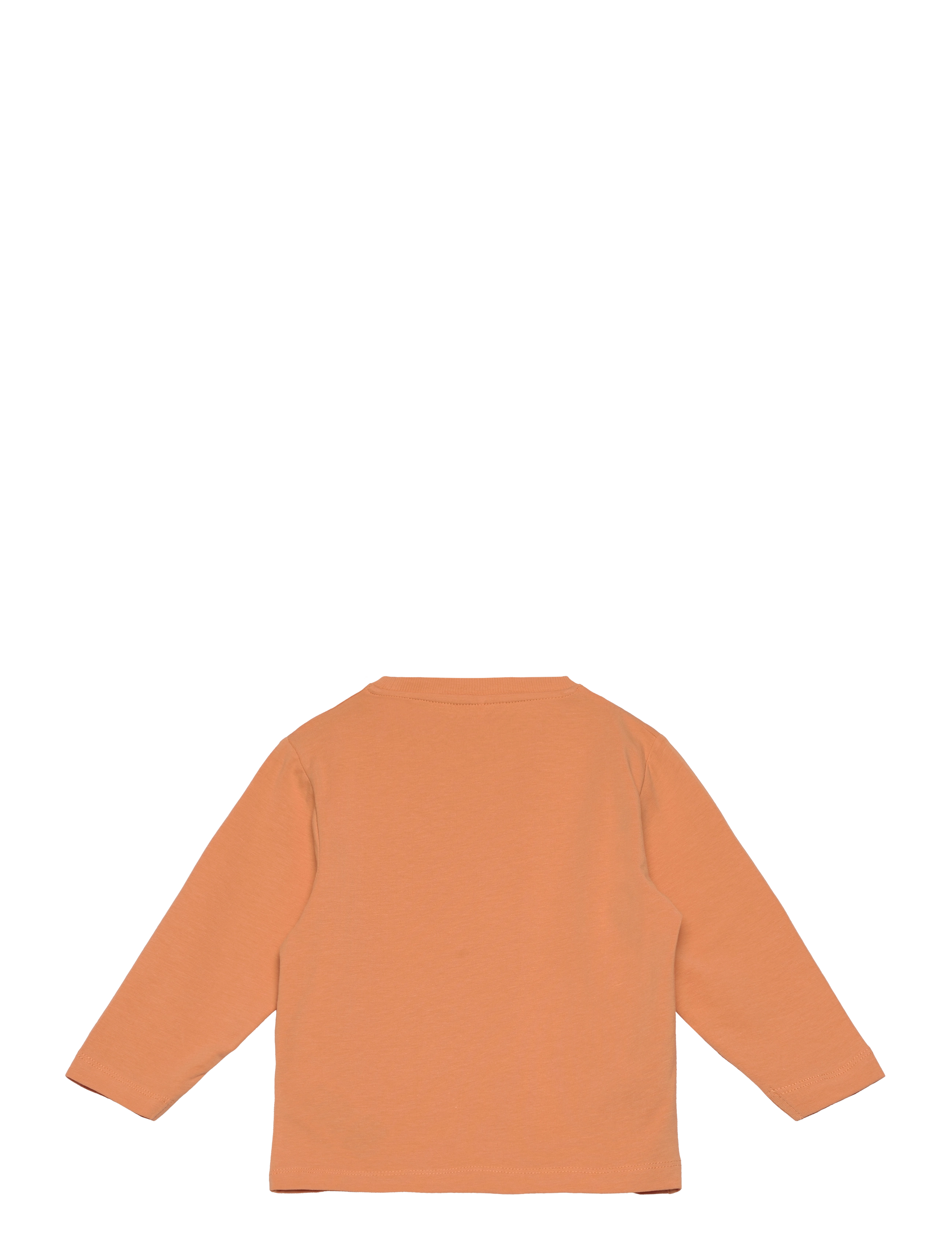name it - NMMTHORHIM NREG LS TOP BOX - toppar & t-shirts - gold earth - 1