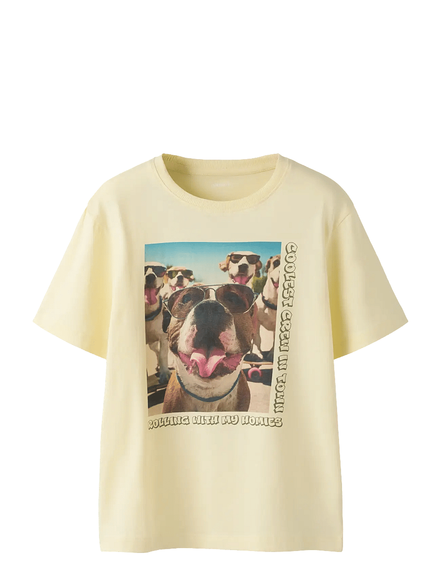 name it - NKMVOTO SS NREG TOP - lühikeste varrukatega t-särgid - pear sorbet - 1