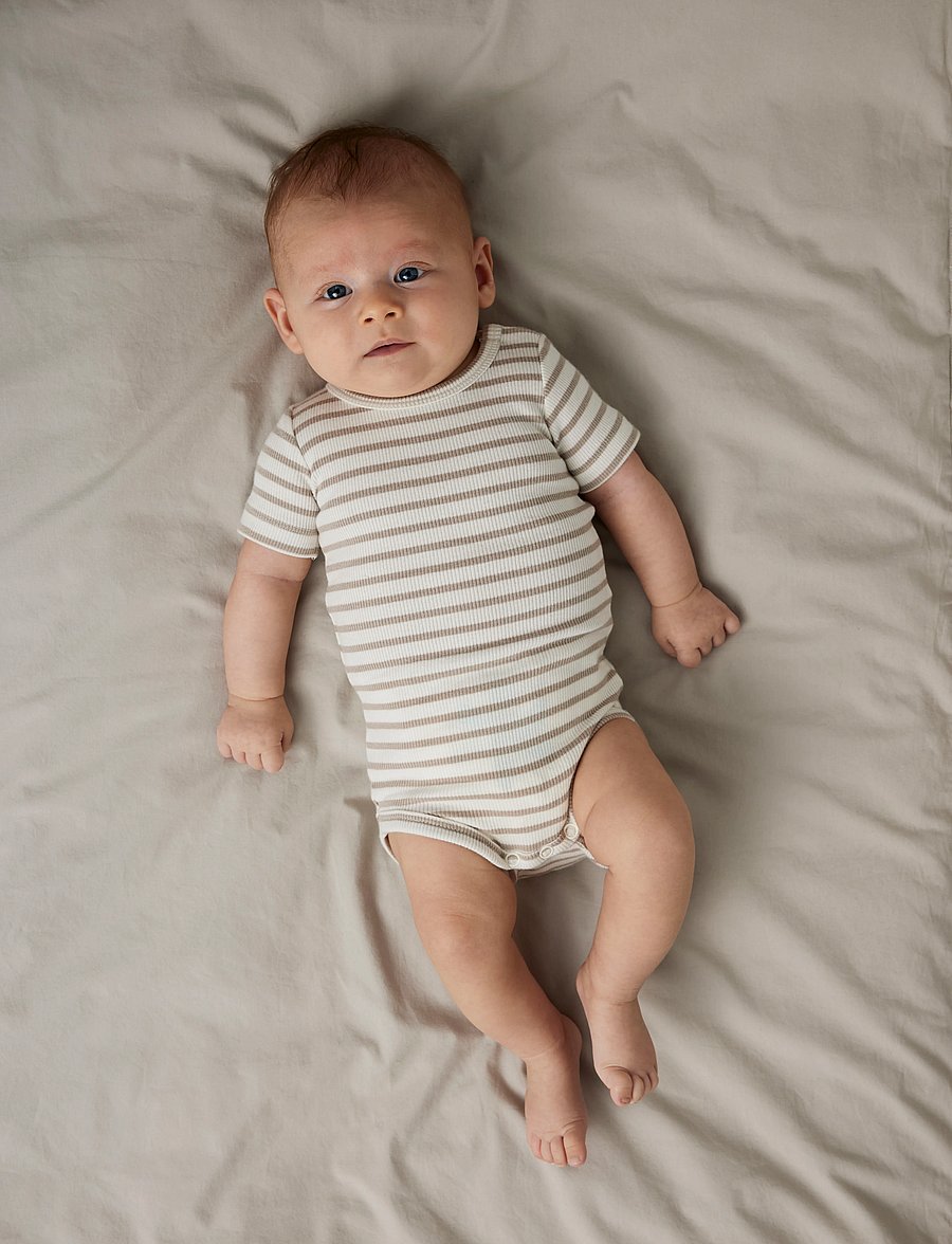 name it - NBNBANI SS BODY NOOS - kurzärmelige bodys - pure cashmere - 4