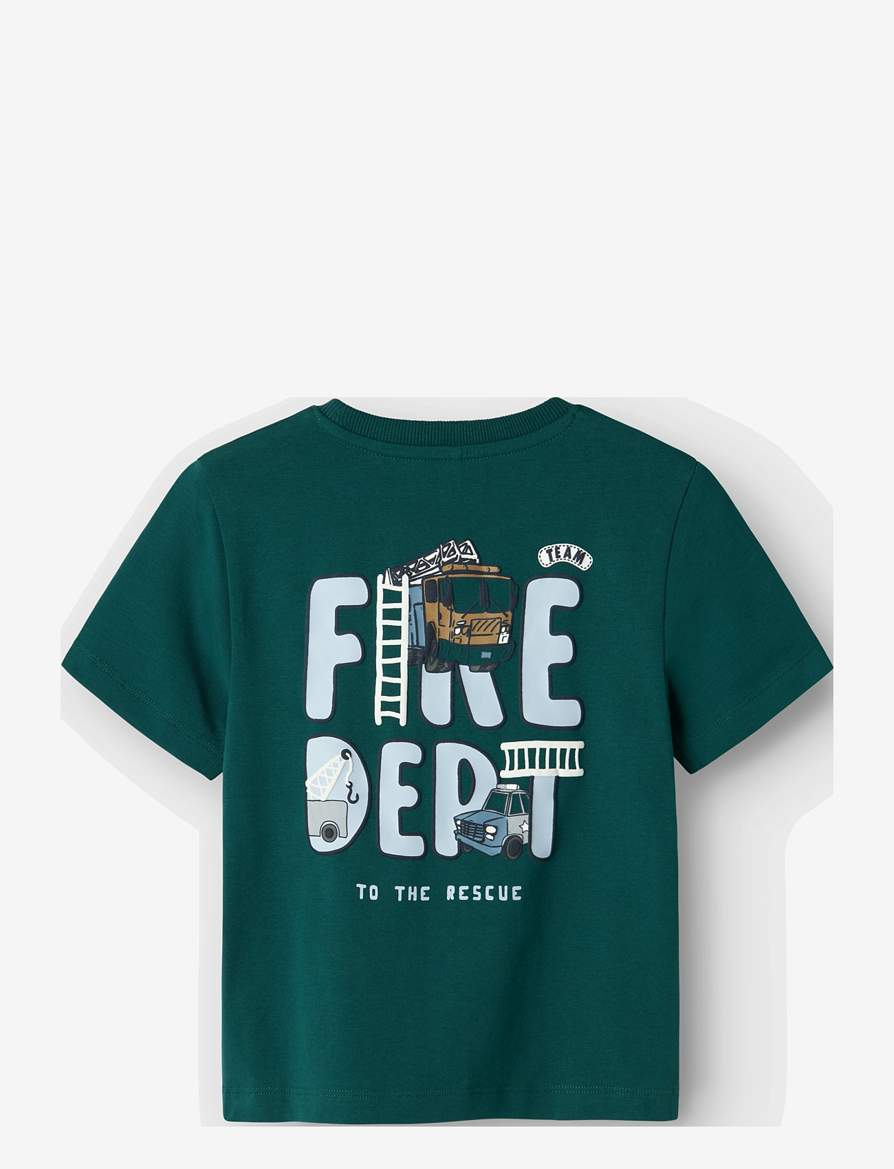 name it - NMMDREW NREG SS TOP BOX - forest biome - 1