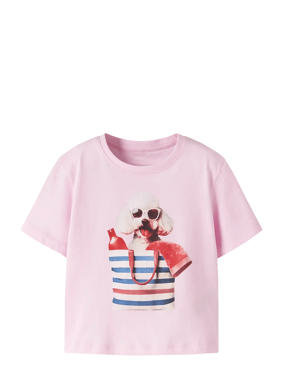 name it - NMFVOTEA SS NREG TOP - kortermede t-skjorter - pirouette - 0