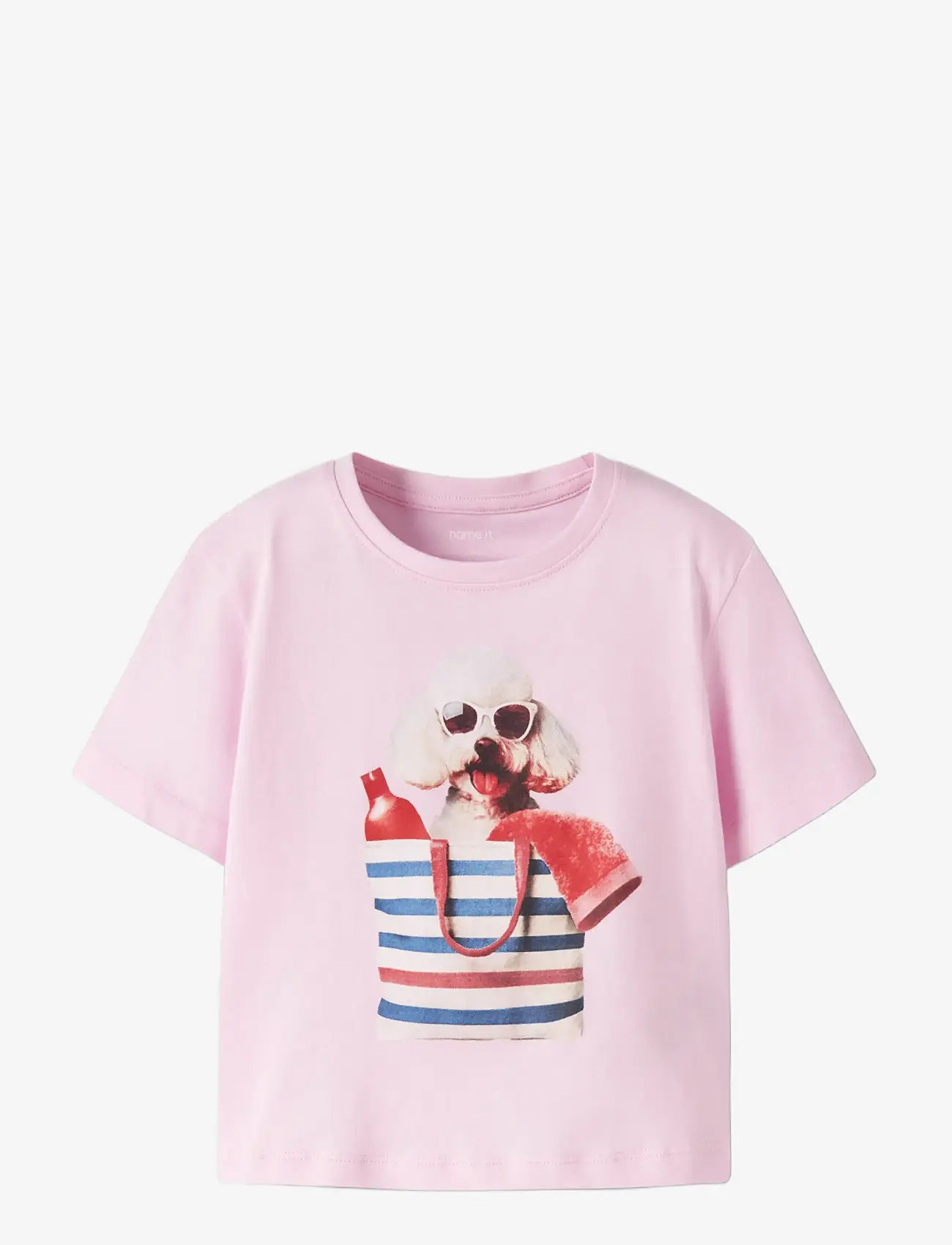 name it - NMFVOTEA SS NREG TOP - kortærmede t-shirts - pirouette - 2