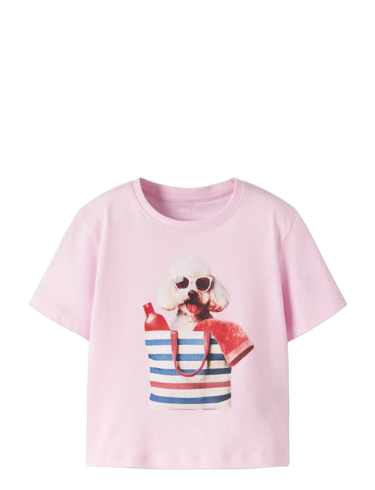 name it - NMFVOTEA SS NREG TOP - kortermede t-skjorter - pirouette - 2