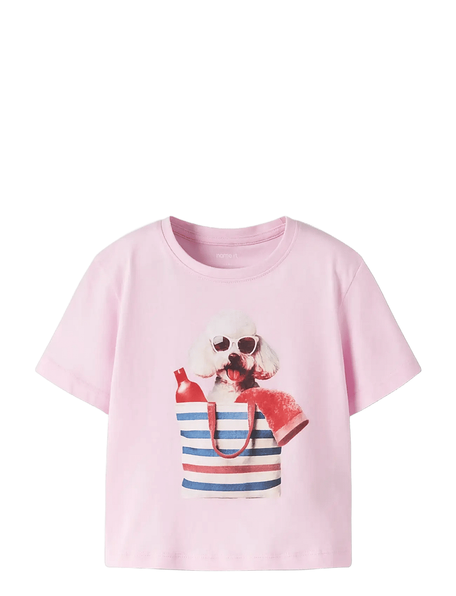 name it - NMFVOTEA SS NREG TOP - kortermede t-skjorter - pirouette - 2