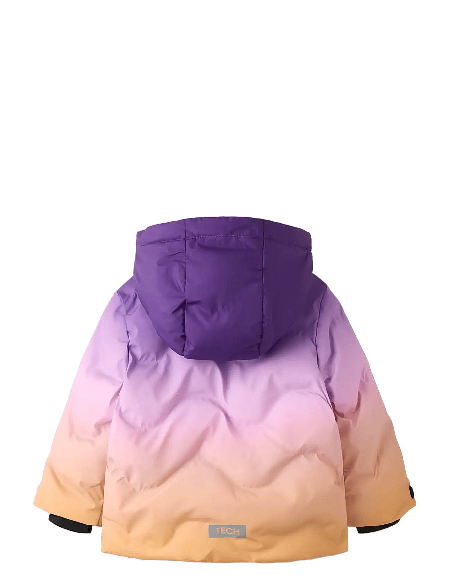 name it - NMFMOUNTAIN05 SKI JACKET FO - skijacken - phalaenopsis - 1