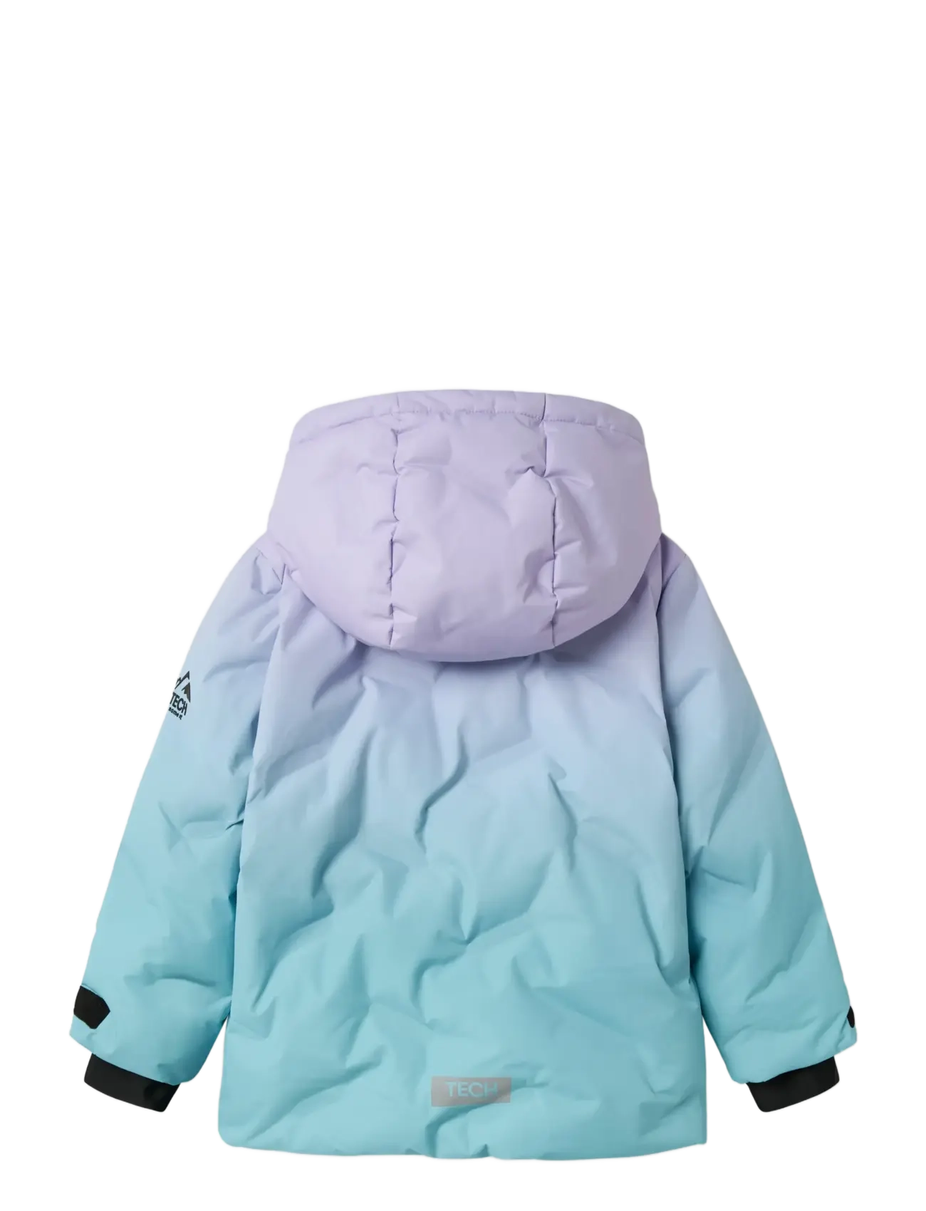 name it - NMFMOUNTAIN05 SKI JACKET FO - overtøj - sunlit allium - 2