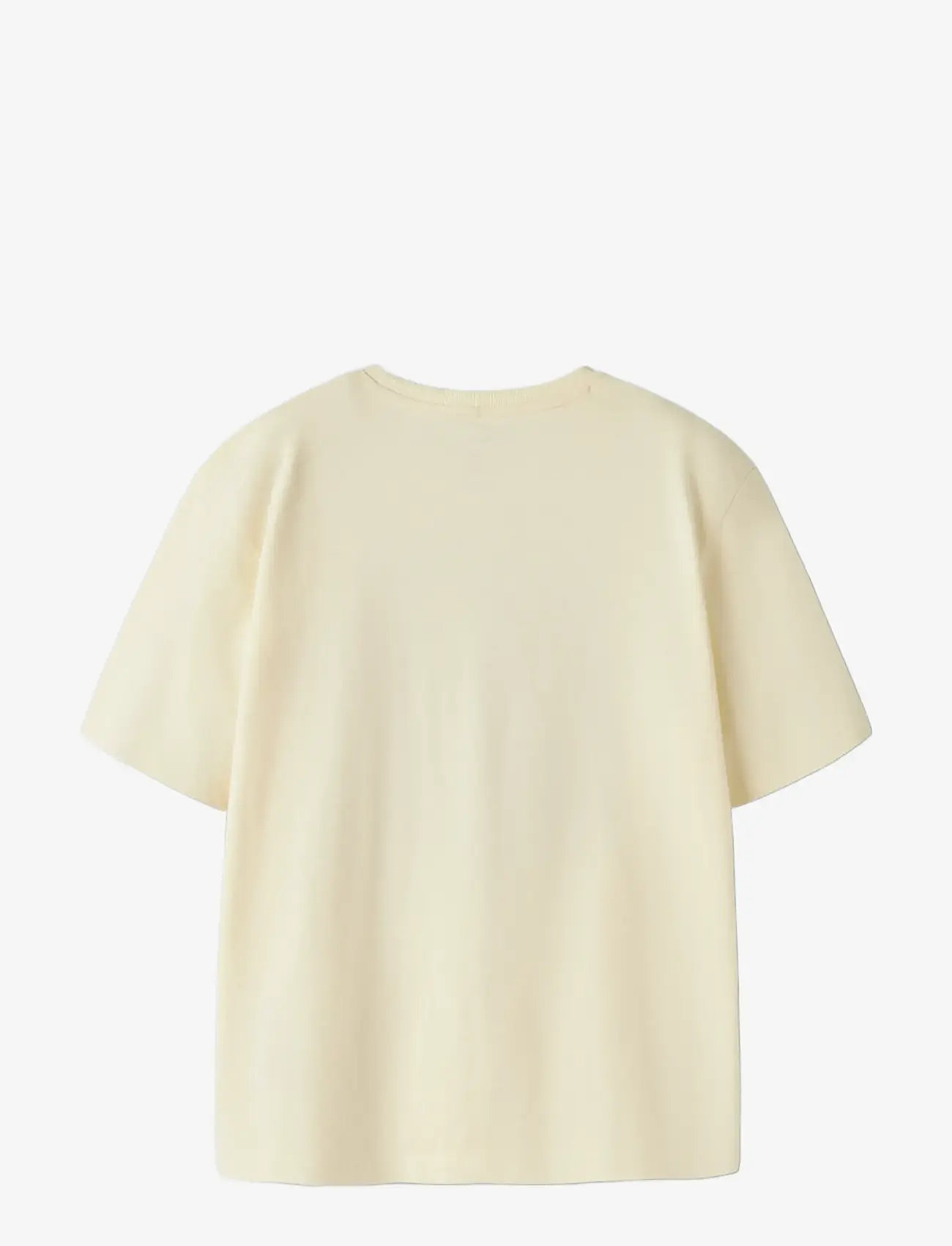 name it - NKMVOTO 2P SS NREG TOP - kortærmede t-shirts - pear sorbet - 1