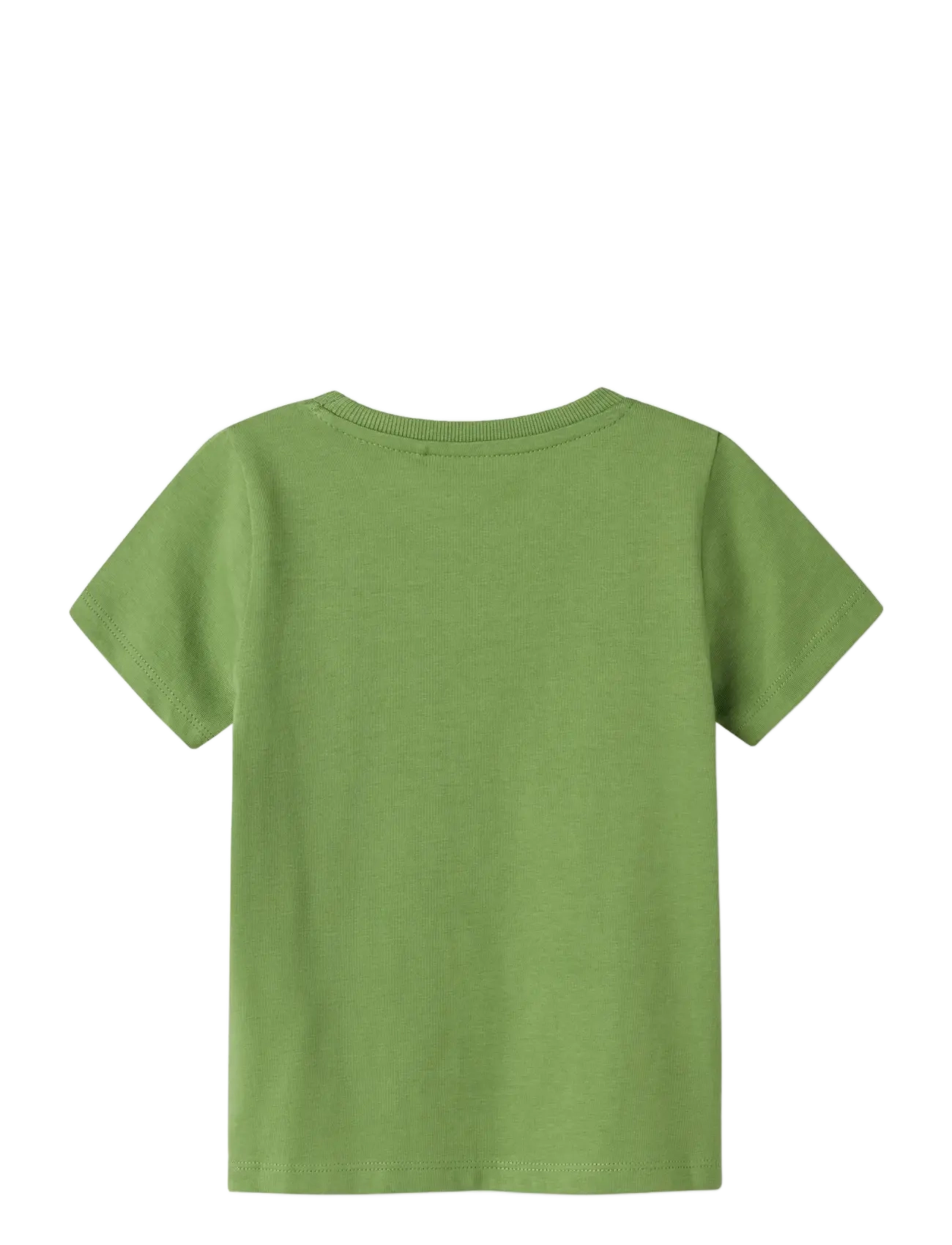 name it - NMMKARLTON SS TOP PB - kortärmade t-shirts - epsom - 1