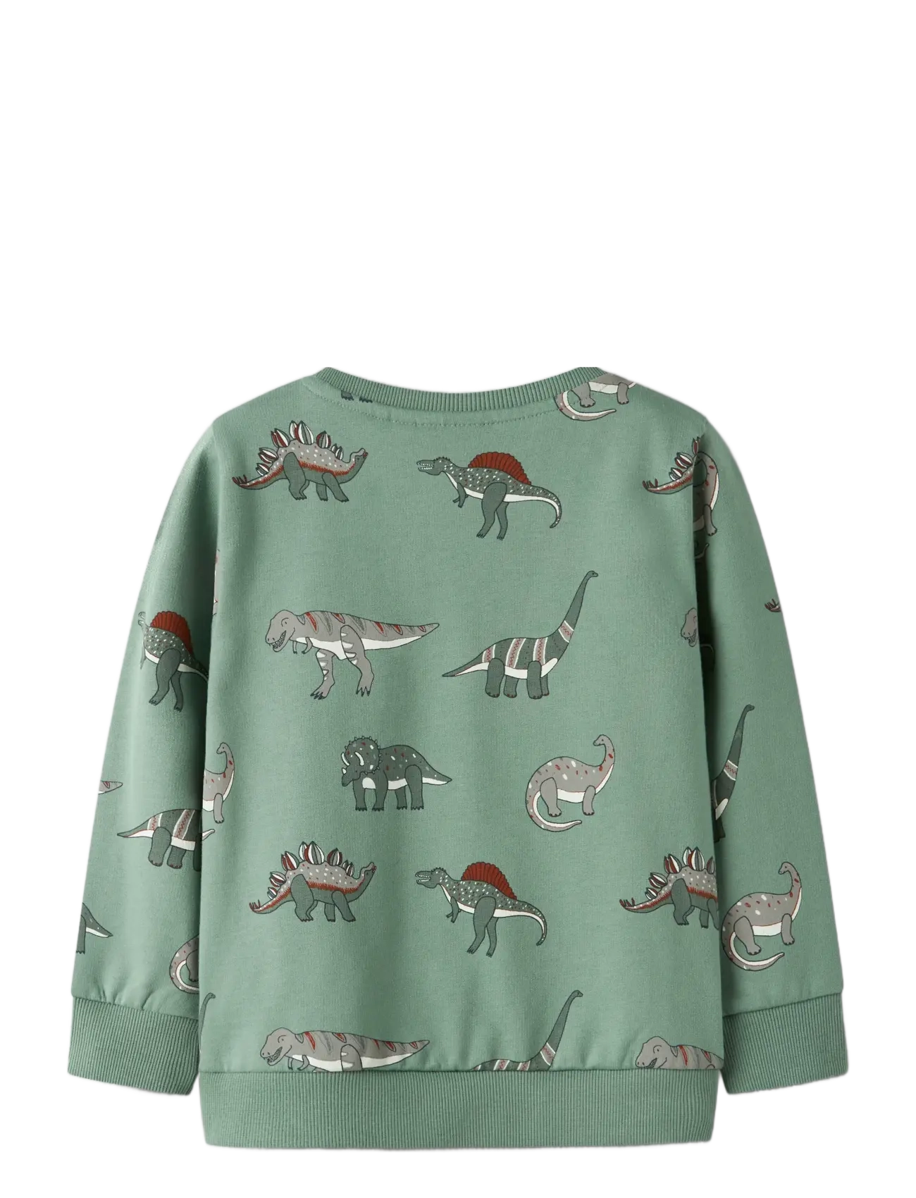 name it - NMMNENEAN LS SWE BRU PB - sweat-shirt - green bay - 2