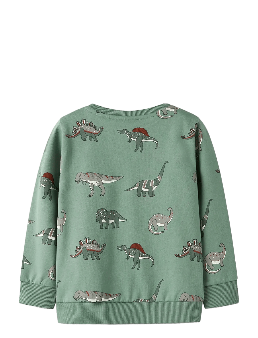 name it - NMMNENEAN LS SWE BRU PB - sweat-shirt - green bay - 2