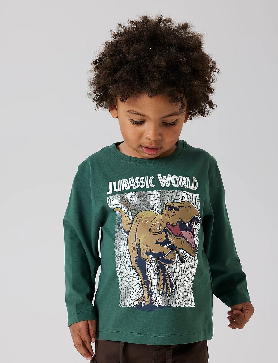 name it - NMMJEWEL JURASSIC NREG LS TOP NOOS SKY - pikkade varrukatega t-särgid - garden topiary - 0