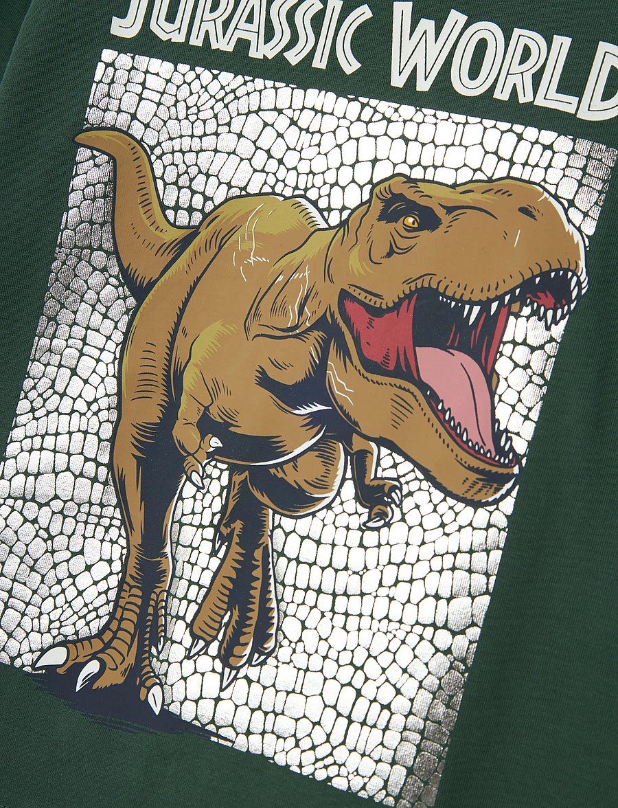 name it - NMMJEWEL JURASSIC NREG LS TOP NOOS SKY - pikkade varrukatega t-särgid - garden topiary - 4