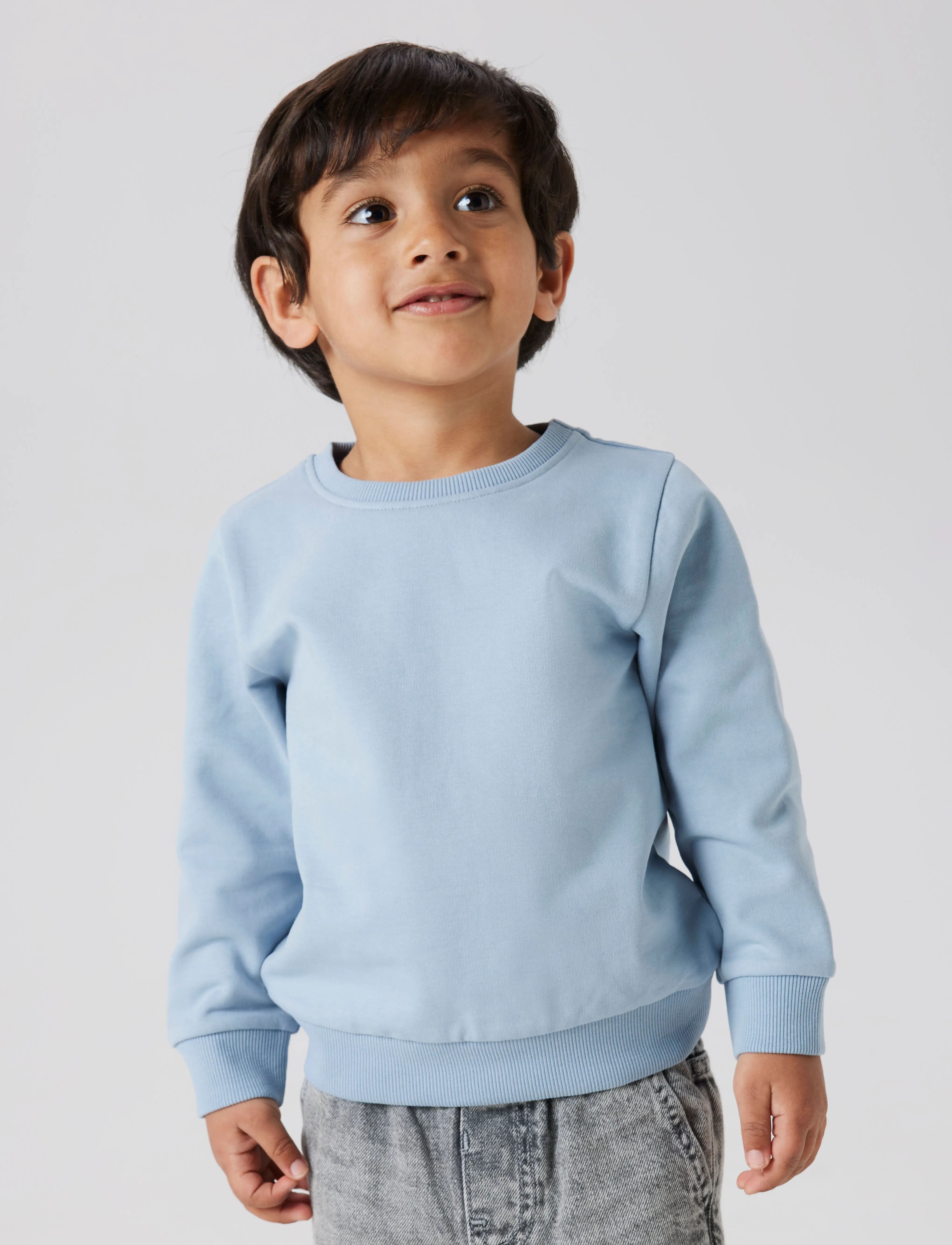 name it NMNSELI LS SWE BRU NOOS - Sweatshirts & Kapuzenpullover - DUSTY BLUE / blue