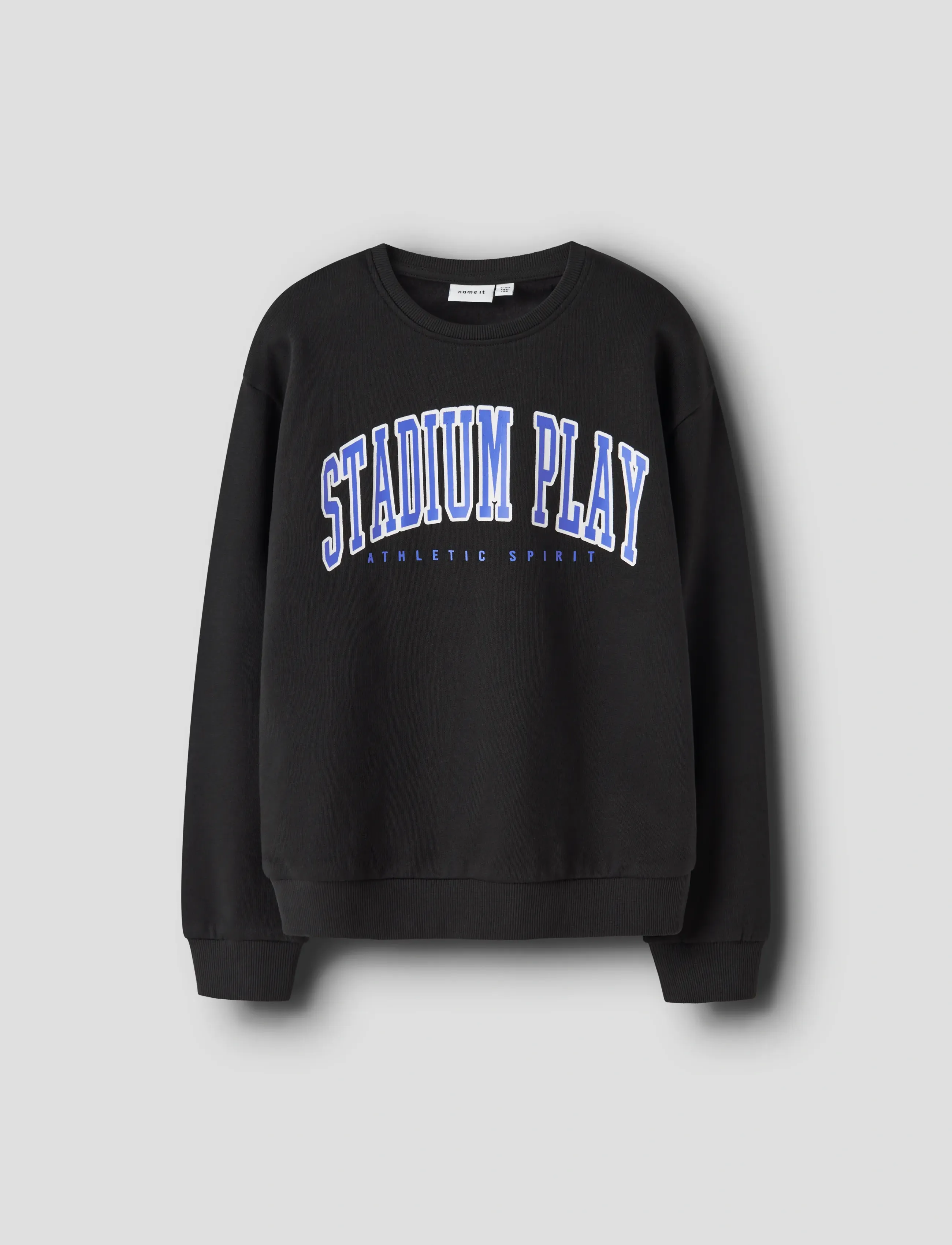 name it NKFLIONA NREG SWEAT BRU - Sweats et sweats à capuche - BLACK / black