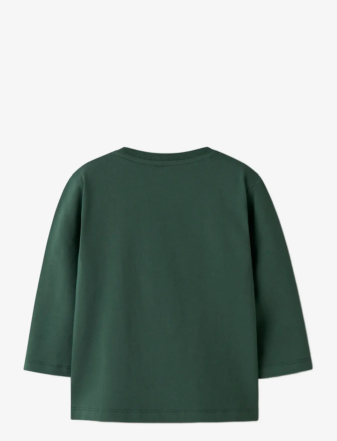 name it - NMMLINCOM LS NREG TOP BOX - langærmede t-shirts - garden topiary - 1