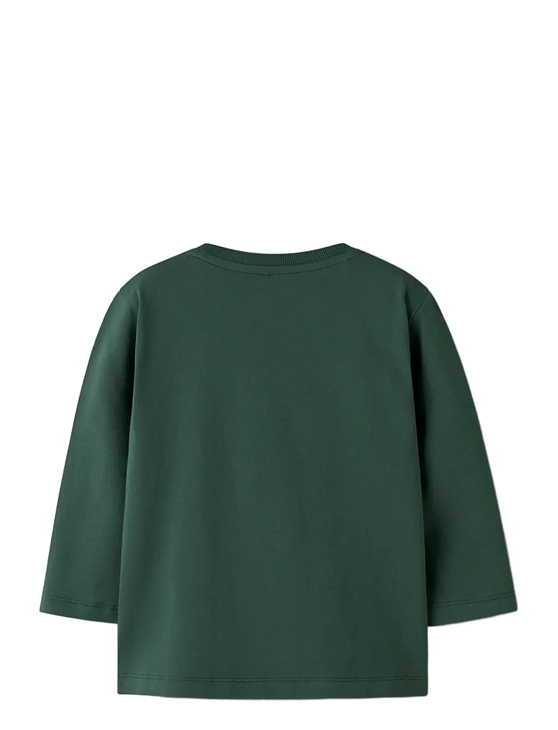 name it - NMMLINCOM LS NREG TOP BOX - langærmede t-shirts - garden topiary - 1