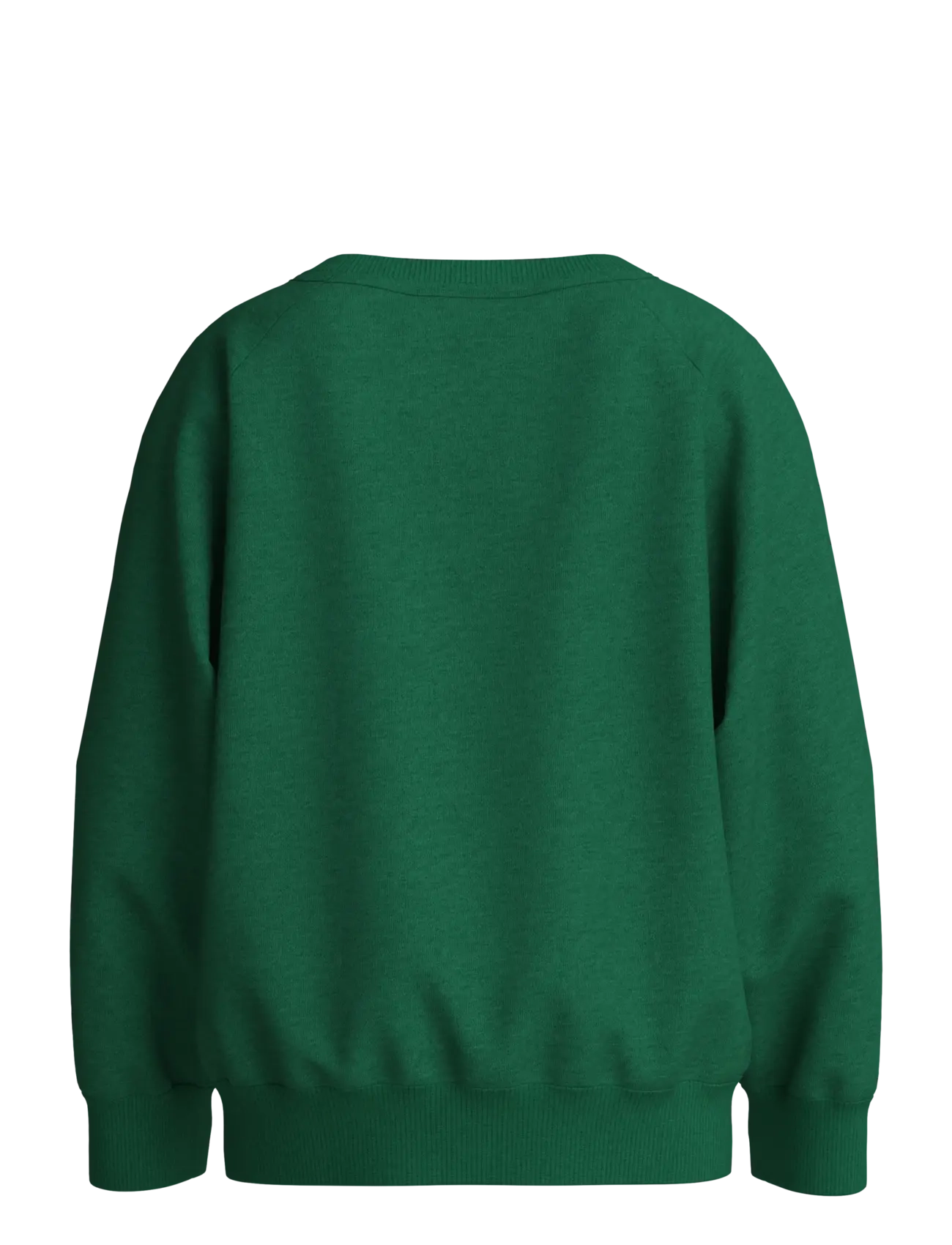 name it - NMMVION LS NREG SWEAT UNB - sweatshirts - verdant green - 1