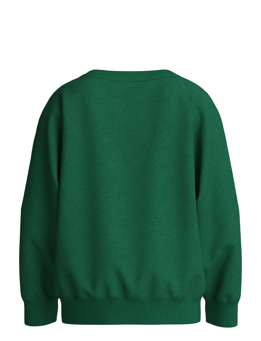 name it - NMMVION LS NREG SWEAT UNB - sweatshirts - verdant green - 1