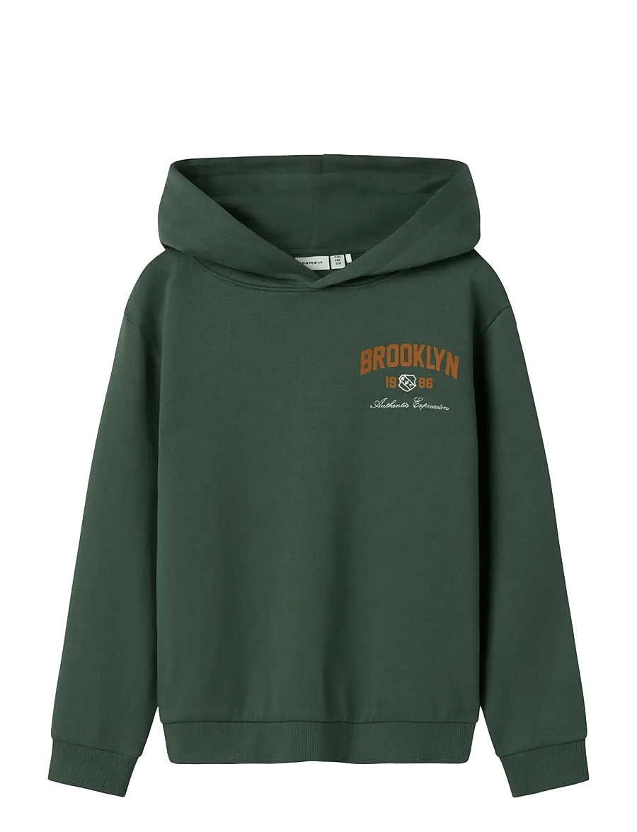 name it - NKMNEWI LS NREG SWEAT WH BRU - pulls à capuche - garden topiary - 1