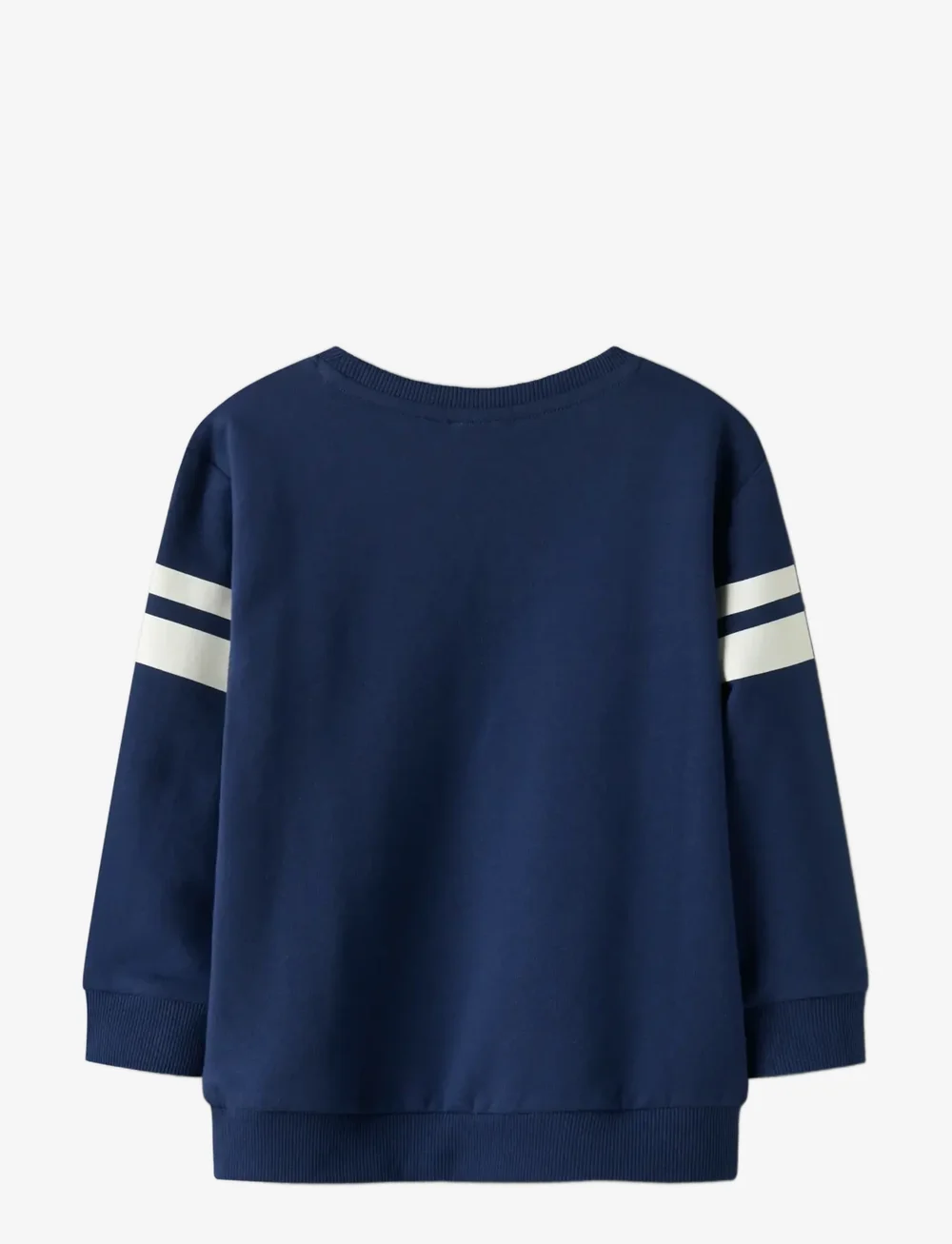 name it - NMMADAM SPIDER NREG SWEAT BRU MAR - dressipluusid - blueprint - 1