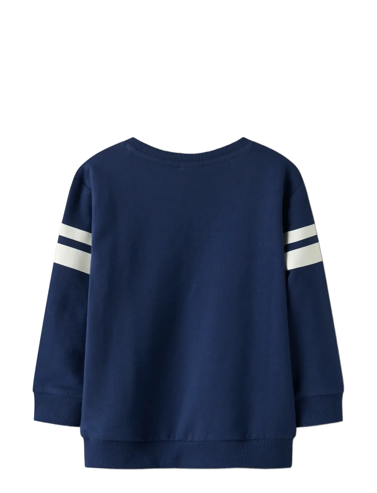 name it - NMMADAM SPIDER NREG SWEAT BRU MAR - dressipluusid - blueprint - 2