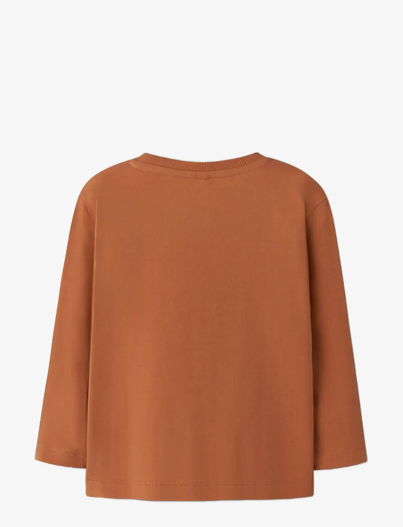 name it - NMMOLLY LS NREG TOP BOX - langærmede t-shirts - autumn leaf - 1