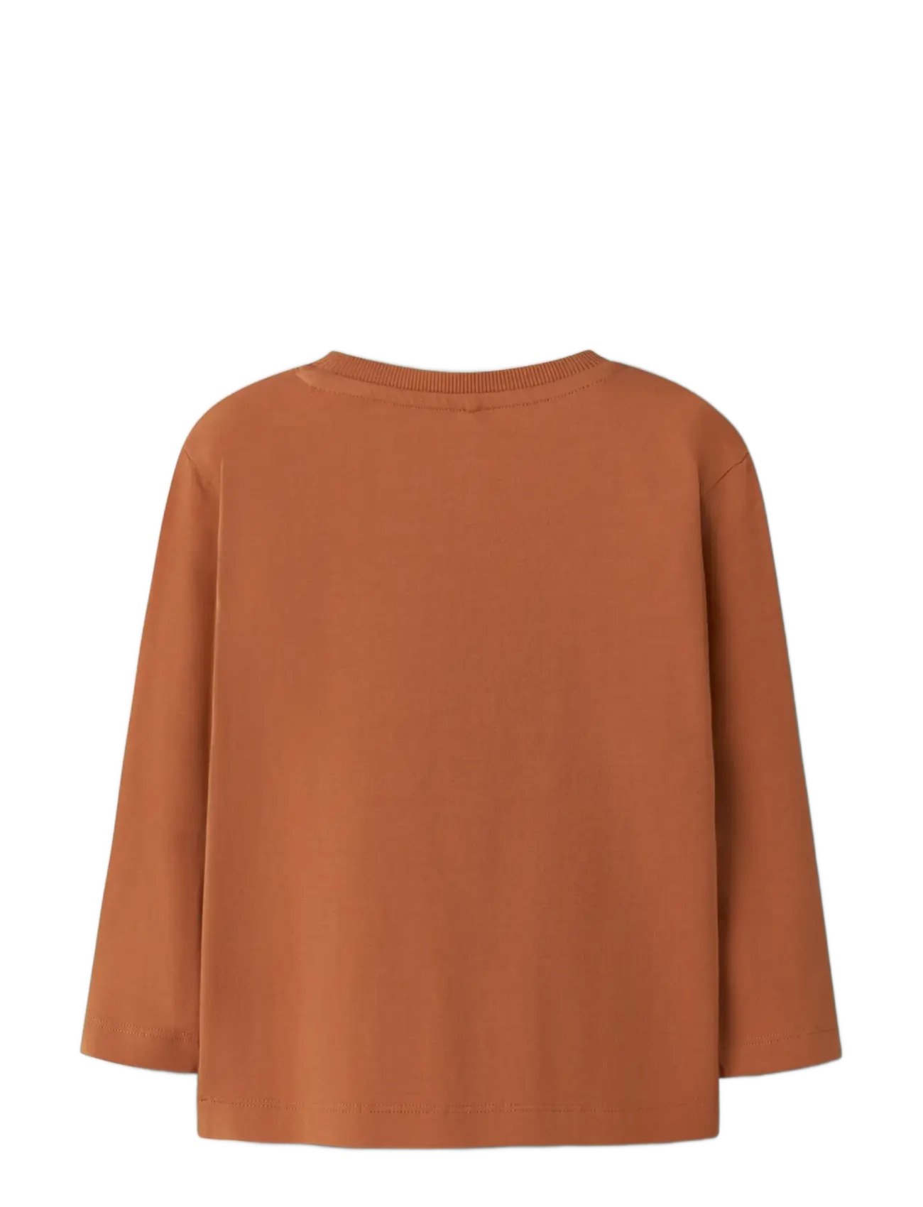 name it - NMMOLLY LS NREG TOP BOX - langærmede t-shirts - autumn leaf - 2