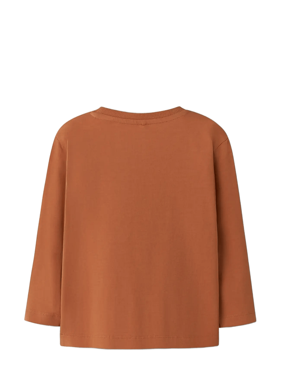 name it - NMMOLLY LS NREG TOP BOX - långärmade t-shirts - autumn leaf - 2