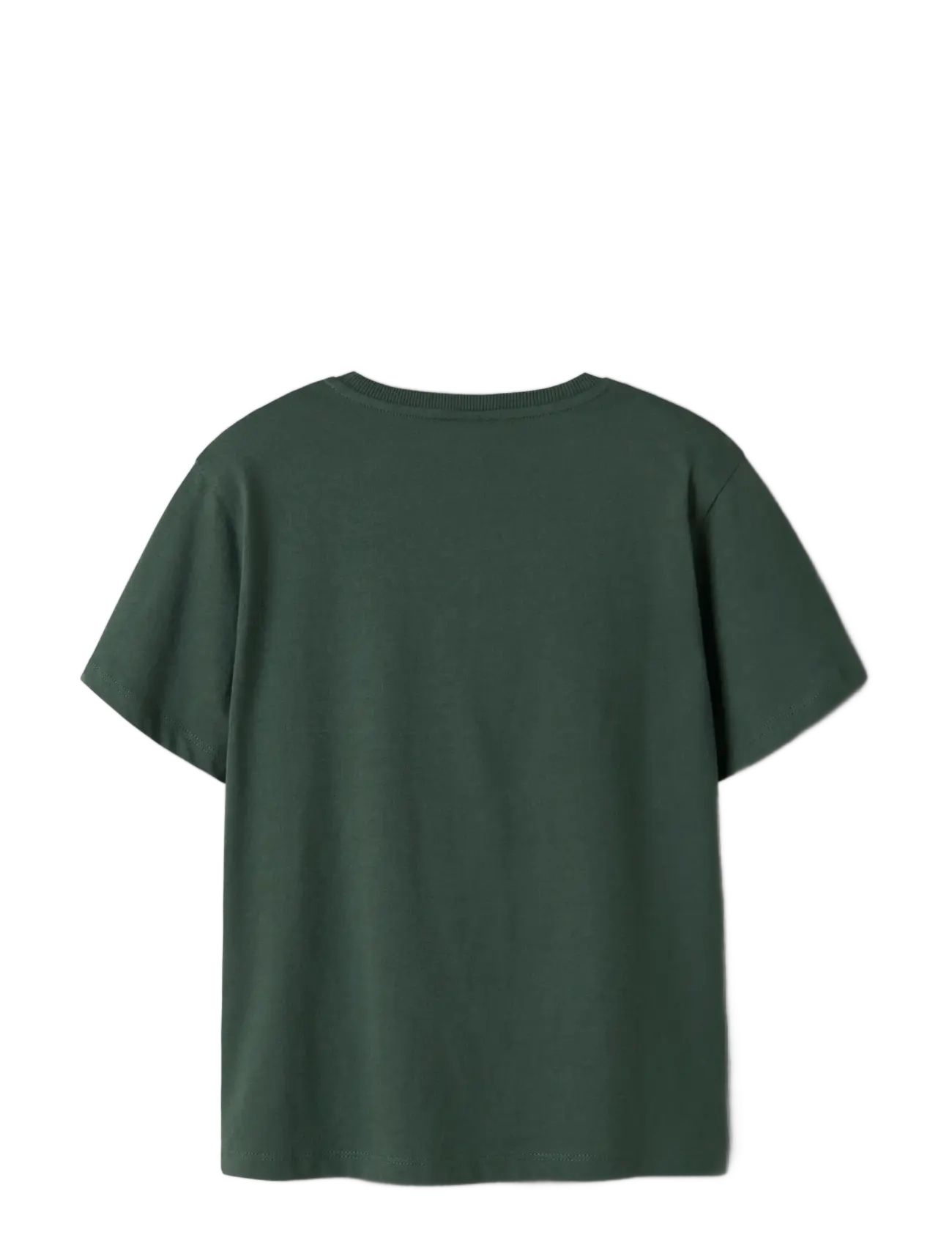 name it - NKMNOTTI SS NREG TOP PS NOOS - lyhythihaiset t-paidat - garden topiary - 1