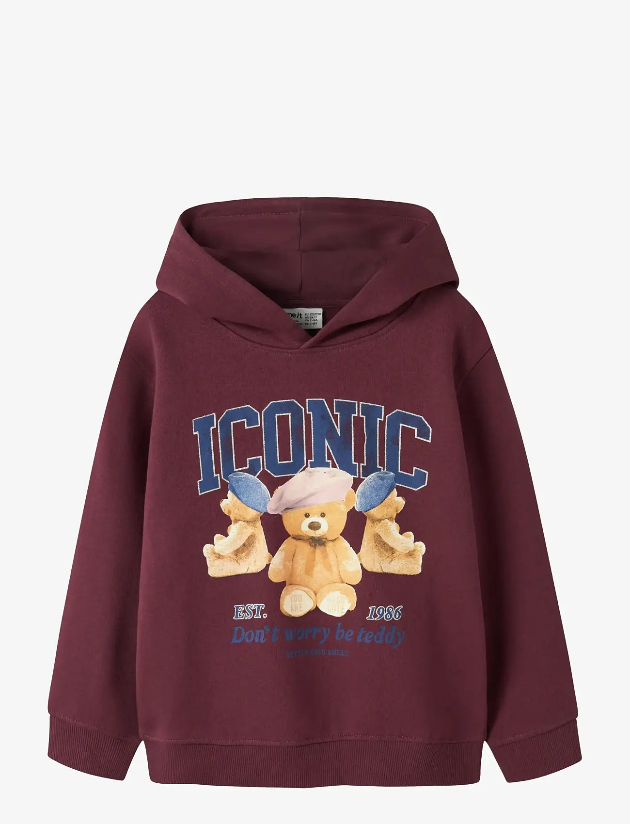 name it - NKFRYCCA LS NREG SWEAT WH BRU BOX - kapuutsiga dressipluusid - burgundy - 1
