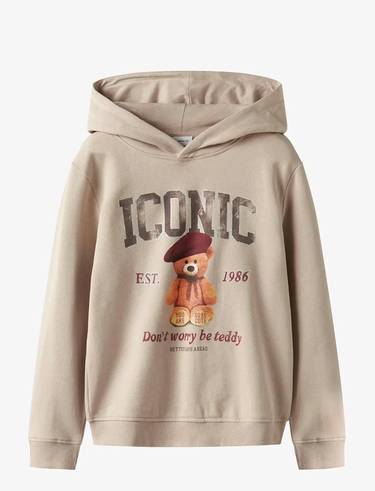 name it - NKFRYCCA LS NREG SWEAT WH BRU BOX - kapuzenpullover - cement - 1