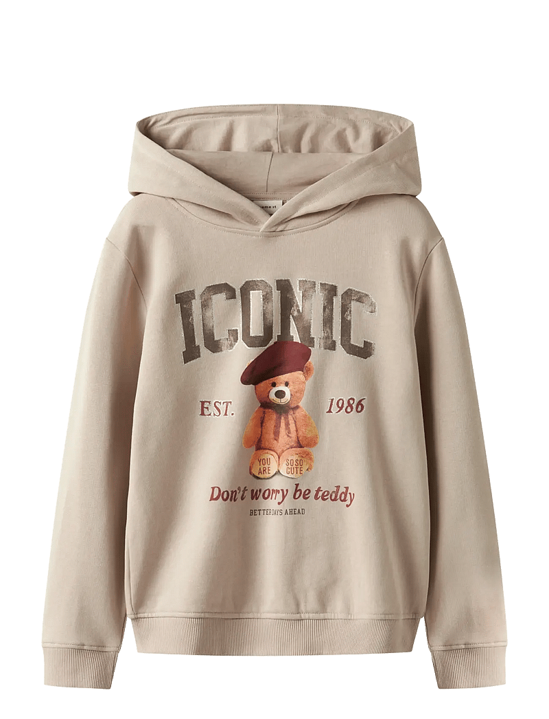 name it - NKFRYCCA LS NREG SWEAT WH BRU BOX - kapuzenpullover - cement - 1