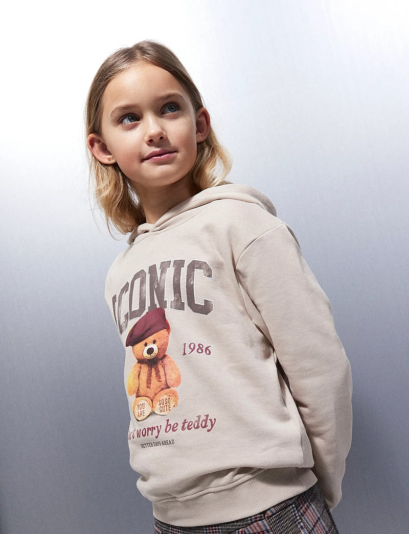 name it - NKFRYCCA LS NREG SWEAT WH BRU BOX - kapuzenpullover - cement - 0