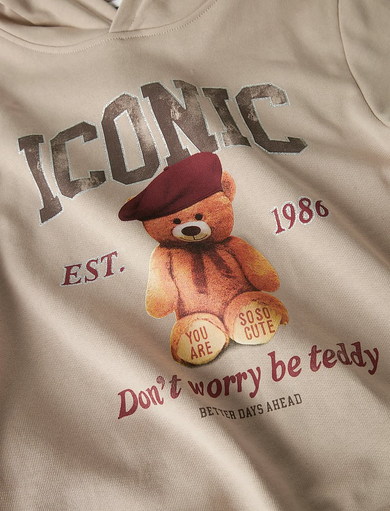 name it - NKFRYCCA LS NREG SWEAT WH BRU BOX - kapuzenpullover - cement - 4