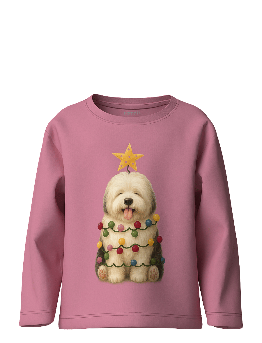 name it - NMFVOSMAS LS NREG TOP - langärmelig - wild rose - 0