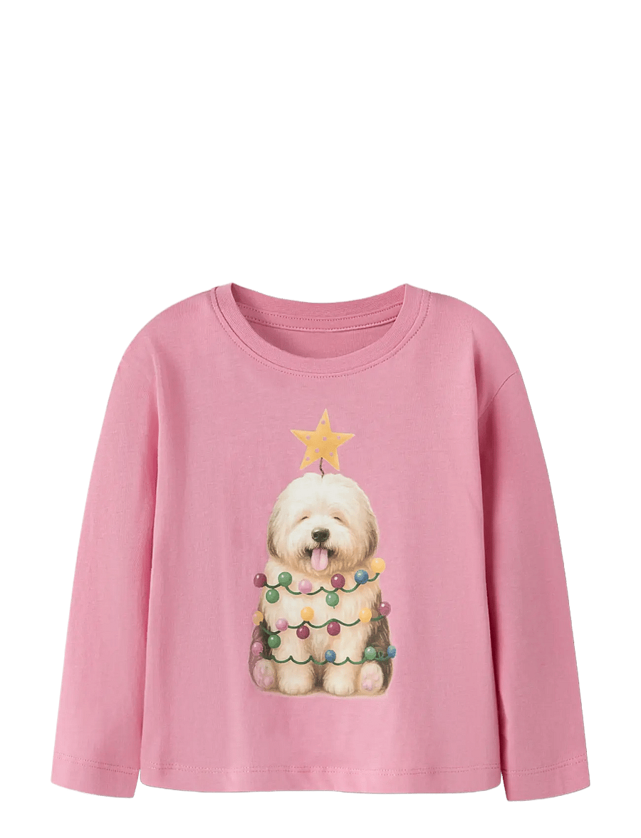 name it - NMFVOSMAS LS NREG TOP - langärmelig - wild rose - 2