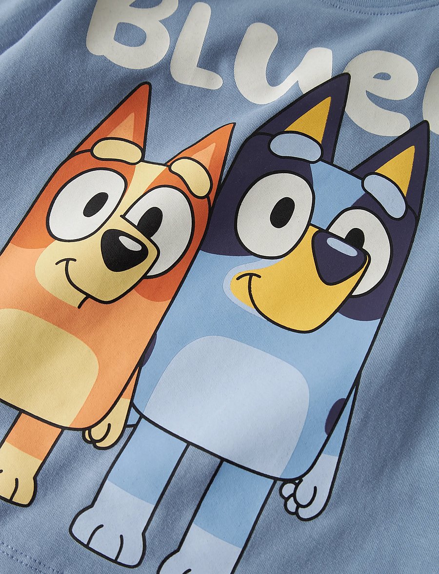 name it - NMMJONAS BLUEY LS NREG TOP BOX SKY - langærmede t-shirts - endless sky - 4