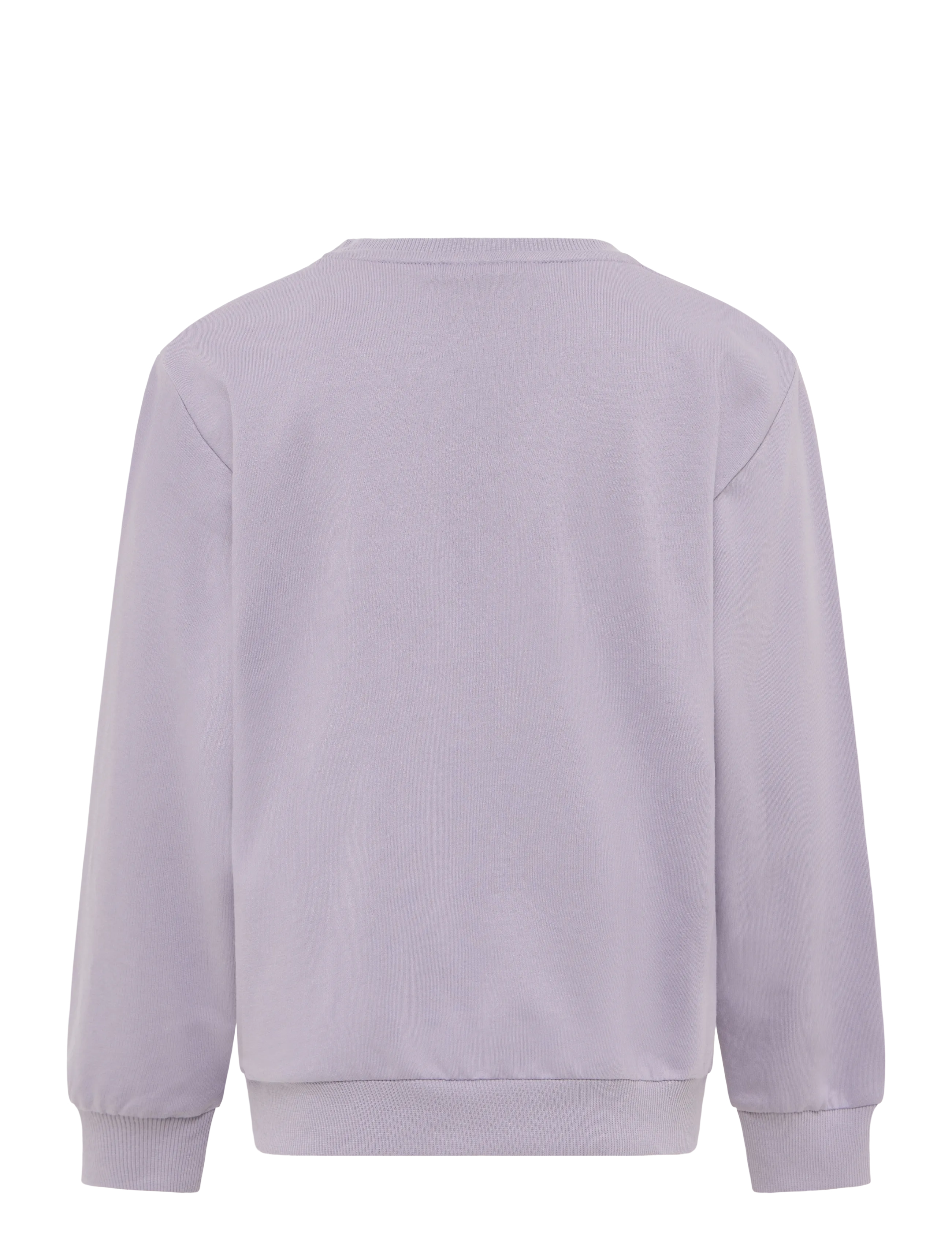 name it - NKFJYD POKEMON NREG SWEAT BRU SKY - lavender gray - 1