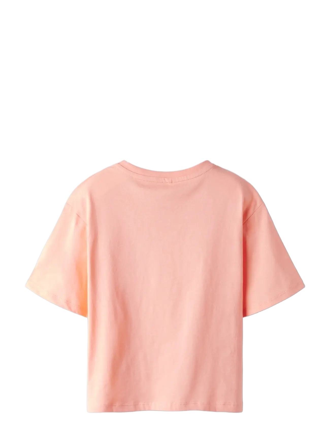 name it - NKFBEATRICE SS NREG SH TOP BOX PS NOOS - kortärmade t-shirts - desert flower - 1
