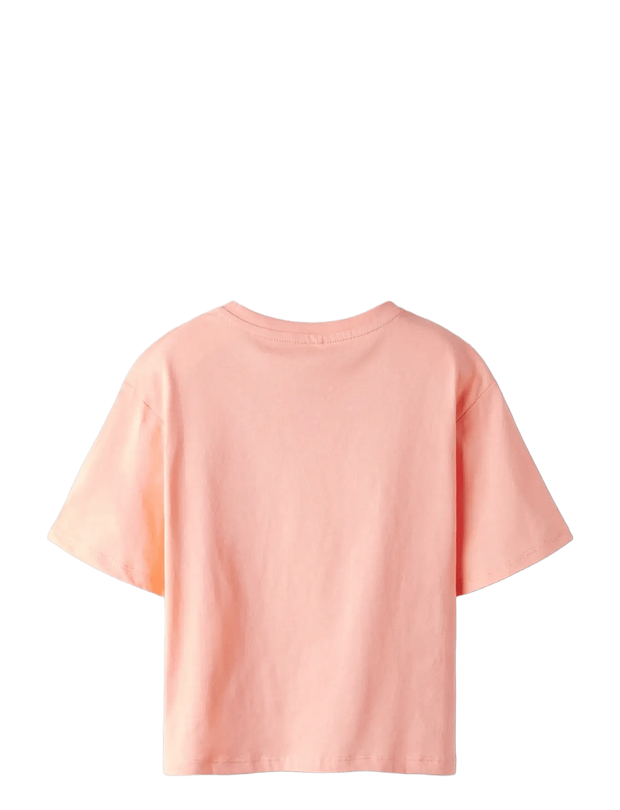 name it - NKFBEATRICE SS NREG SH TOP BOX PS NOOS - kortärmade t-shirts - desert flower - 1