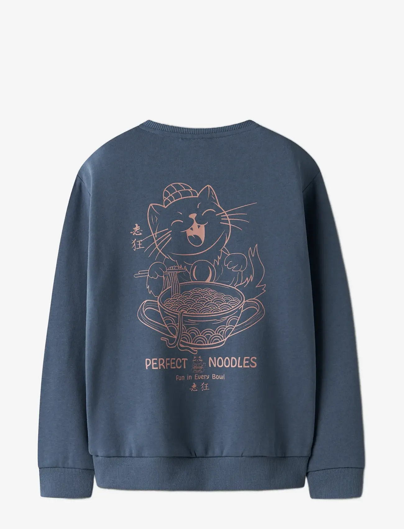 name it - NKMTRENTON LS NREG SWEAT BRU PS - sweatshirts - vintage indigo - 2
