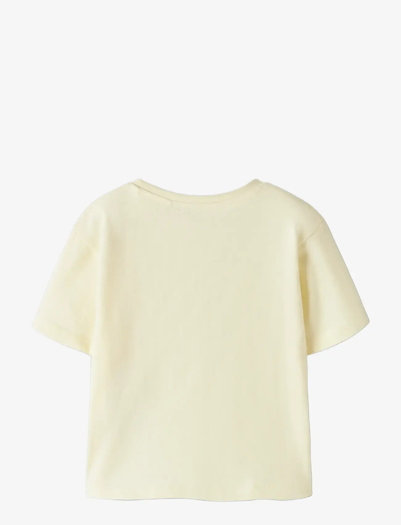 name it - NMFDENEAS SS NREG TOP - kortærmede t-shirts - pear sorbet - 1