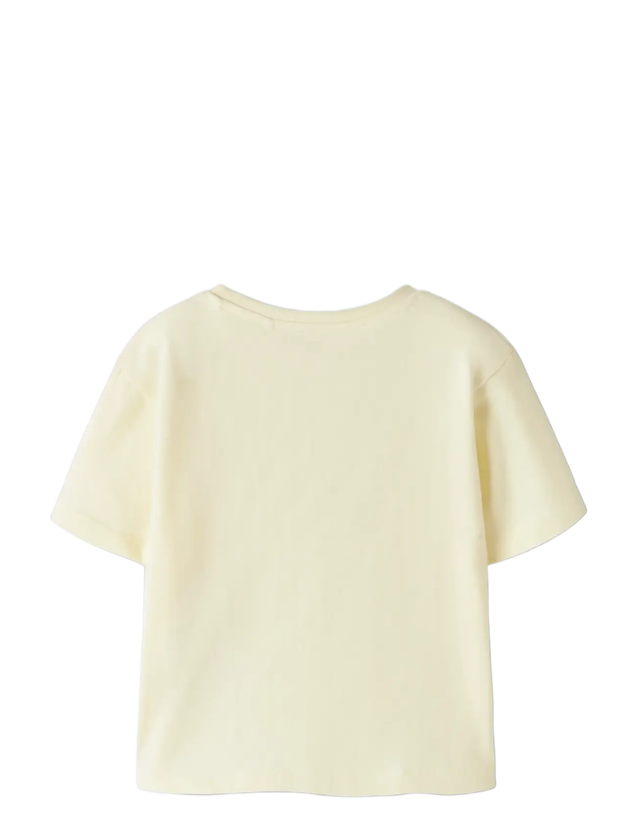 name it - NMFDENEAS SS NREG TOP - lühikeste varrukatega t-särgid - pear sorbet - 1