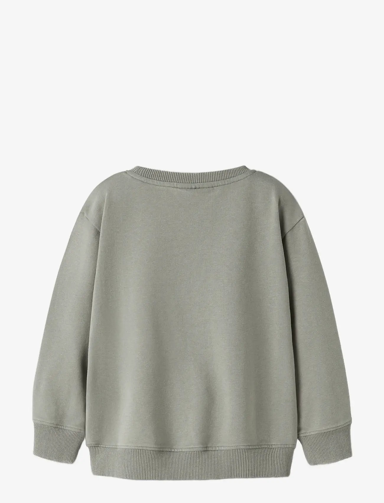name it - NMMDALK LS NREG SWEAT UNB - dressipluusid - shadow - 1