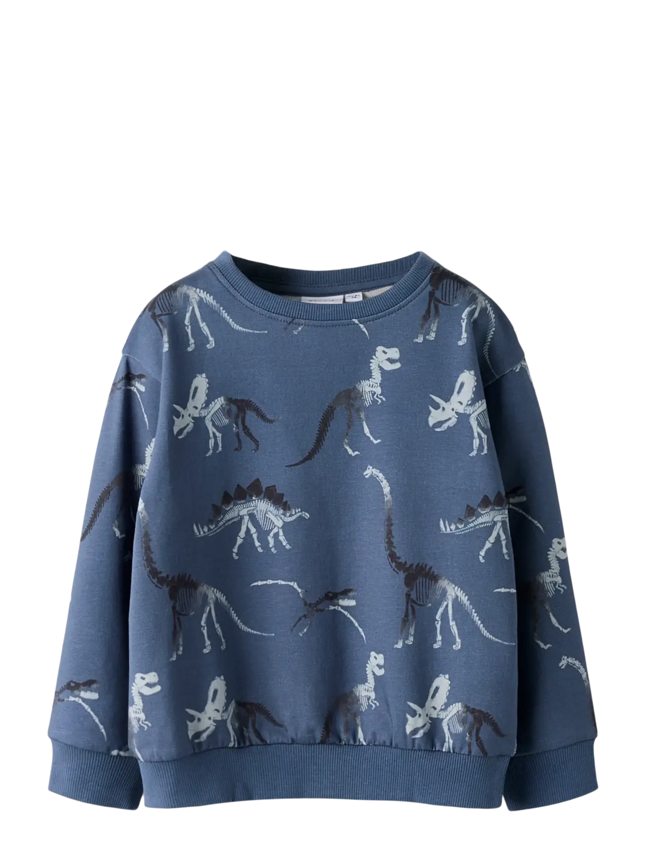 name it Nmmfabia Ls Nreg Sweat Unb, Børn, Dinosaur Print Sweatshirt, Blå, Str: 104