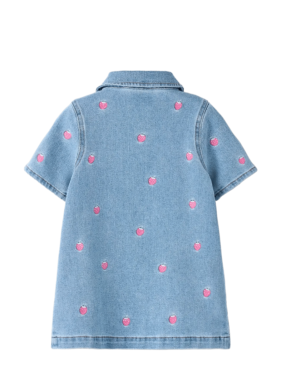 name it - NMFLAILA SS EMB DRESS 6202-IZ - kurzärmelige babykleider - light blue denim - 1