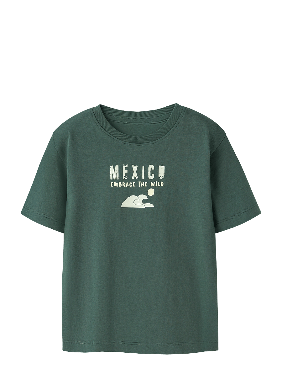 name it - NMMHAYDE SS NREG TOP BOX - kortärmade t-shirts - garden topiary - 0