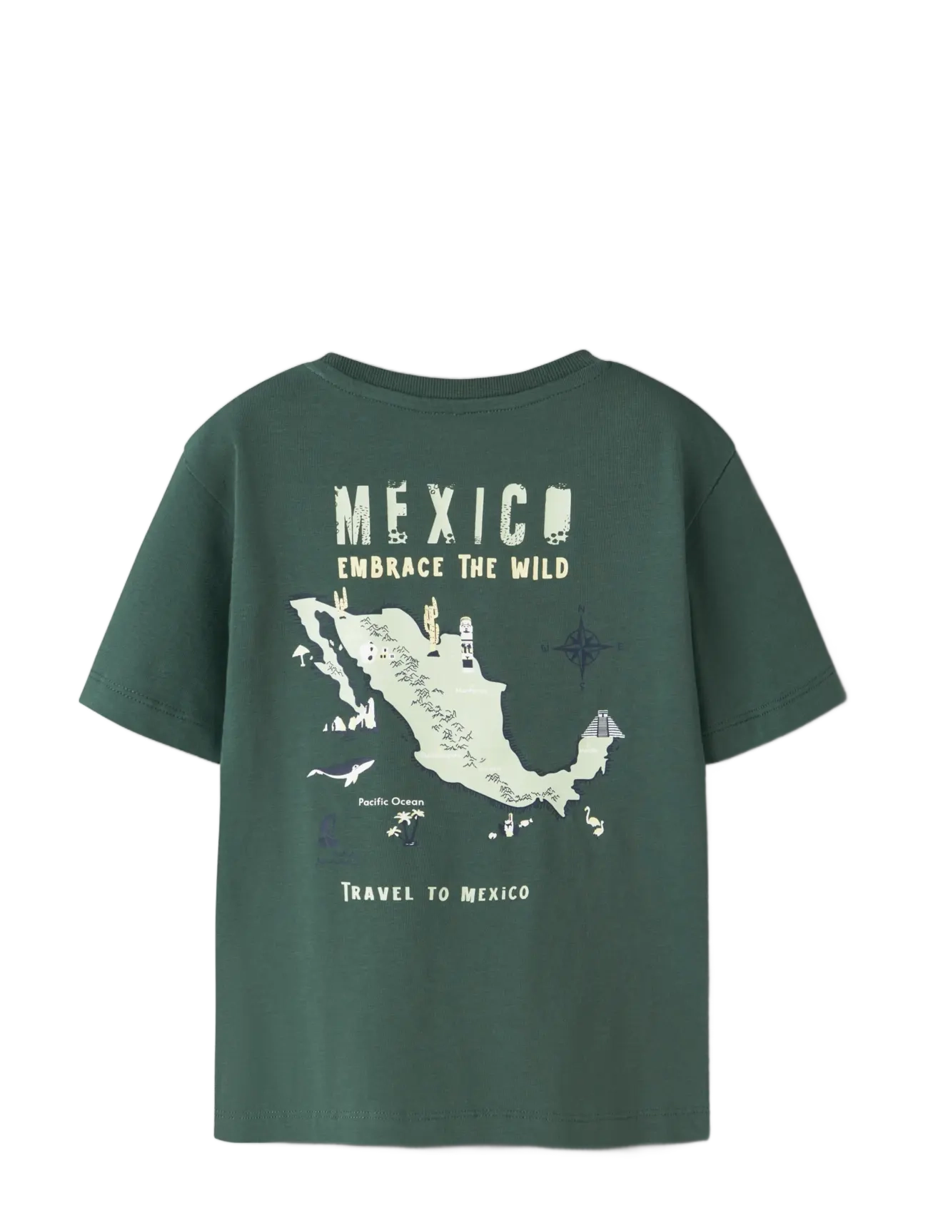name it - NMMHAYDE SS NREG TOP BOX - kortärmade t-shirts - garden topiary - 1