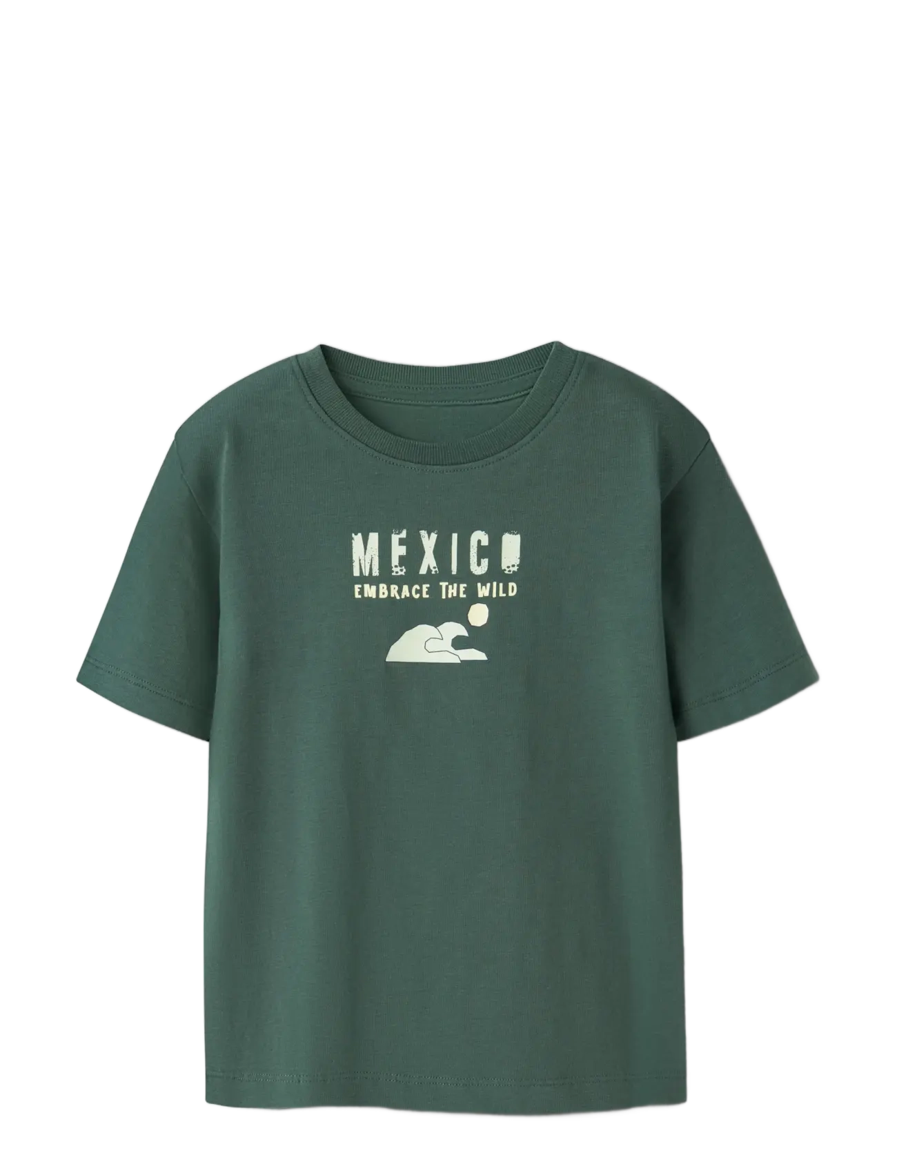 name it - NMMHAYDE SS NREG TOP BOX - kortärmade t-shirts - garden topiary - 2