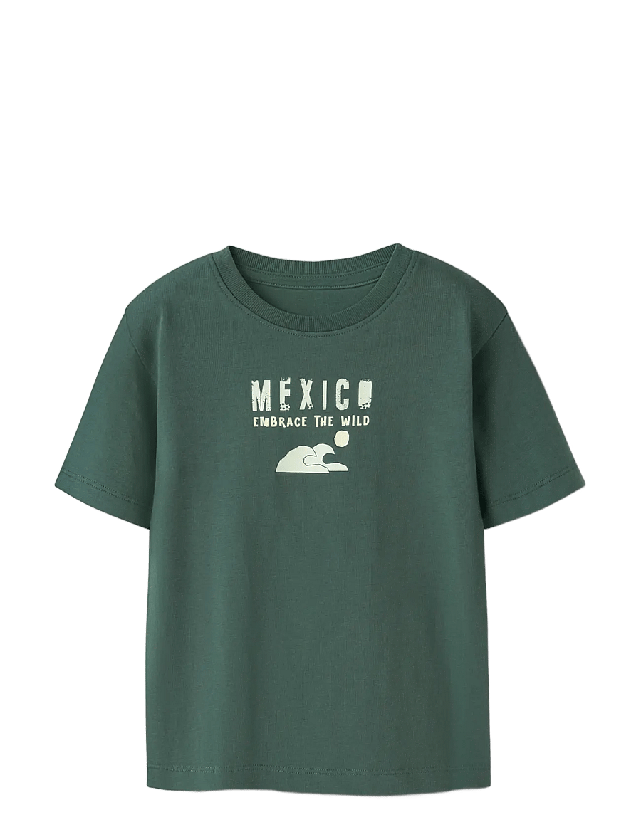 name it - NMMHAYDE SS NREG TOP BOX - kortärmade t-shirts - garden topiary - 2